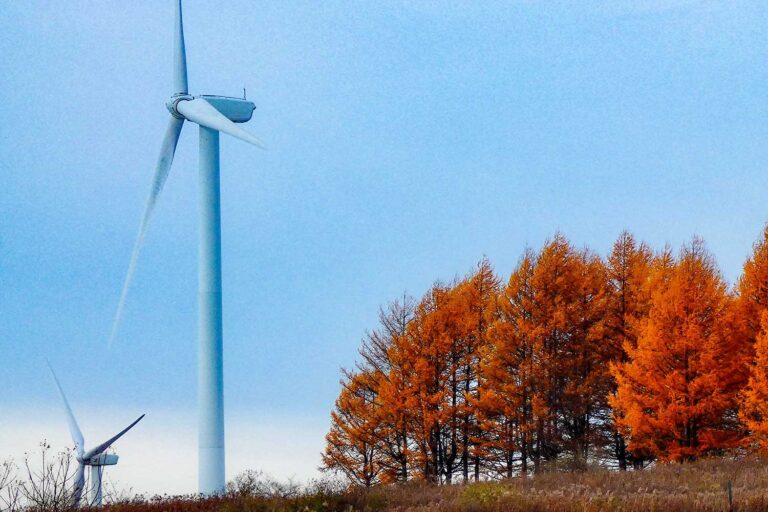 windmills-KSHE3LD.jpg